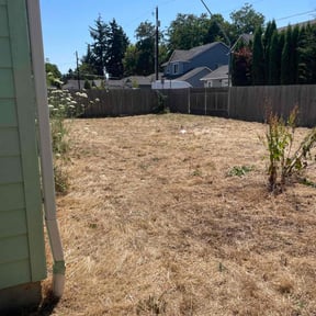 Cleanups by RJ landscaping reviewed on July 3, 2020