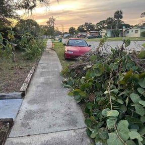 Bush Trimming by Adara Lawn & Pool reviewed on June 14, 2022