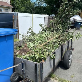 Leaf Removal by Billy lawn care reviewed on October 15, 2021