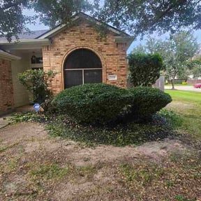 Bush Trimming by Schuler Lawn Care LLC reviewed on November 29, 2023