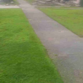 Bush Trimming by Elegance Pressure Washing and Lawn Care reviewed on April 20, 2022