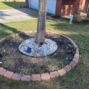 Flower Bed Weeding by Suncoast Mowing and Pressure Washing Company reviewed on April 21, 2022