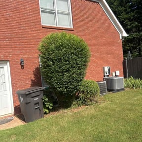 Bush Trimming by Untouchables lawncare reviewed on March 22, 2022