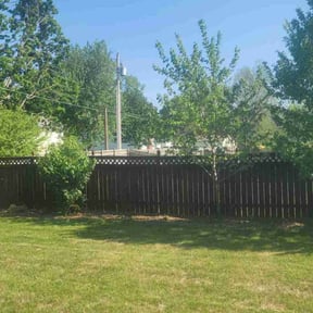 Bush Trimming by Kyle's Lawns reviewed on May 23, 2022