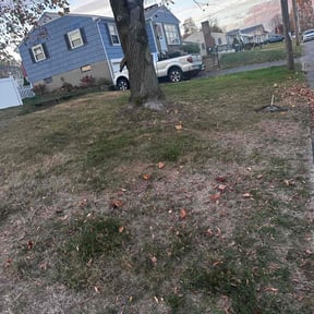 Leaf Removal by Mr. Jims' Lawn Care L.L.C reviewed on July 6, 2022