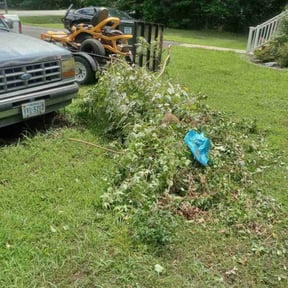 Landscaping by Jr's Landscape reviewed on July 19, 2022