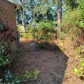 Bush Trimming by Palmetto Land Service reviewed on May 18, 2025