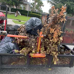 Cleanups by Willie Lawn Care and More LLC reviewed on January 5, 2025