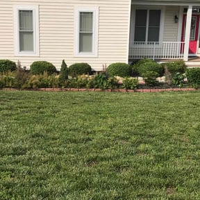 Bush Trimming by Keep It Cut Lawn Services reviewed on March 25, 2025