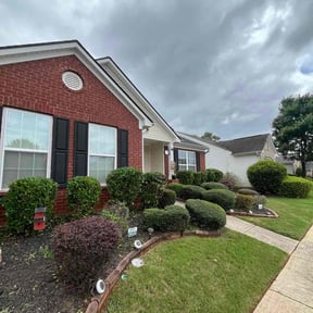 Bush Trimming by Juana&#039;s Botanical Landscaping reviewed on August 10, 2024