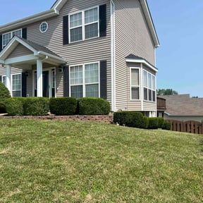 Bush Trimming by Ultimate Landscape Contractor reviewed on June 19, 2020