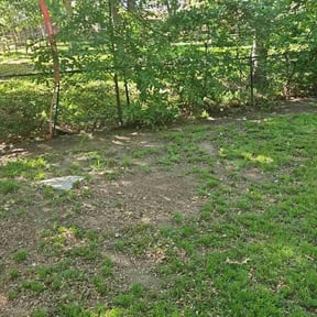 Leaf Removal by Clean Slate Cleaning & Lawn Care Services reviewed on July 18, 2022
