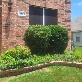 Bush Trimming by Lawn In Order reviewed on October 21, 2022