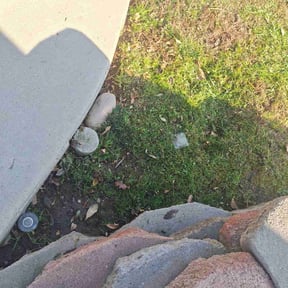 Leaf Removal by Sac lawn care services reviewed on March 31, 2025
