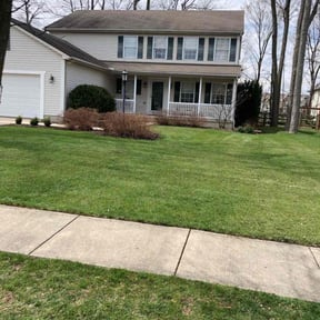 Leaf Removal by Can’t Stop Won’t Stop Lawn Care reviewed on July 6, 2025