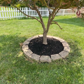 Flower Bed Weeding by Toro Verde Lawns reviewed on June 23, 2025