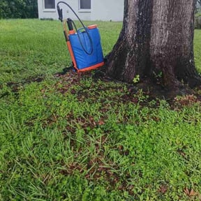 Weeding by Rivera and Son&#039;s Services reviewed on August 1, 2022