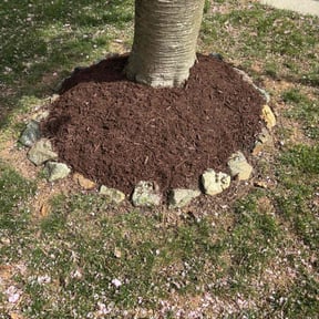 Mulching by C & M Lawn Service reviewed on July 28, 2022