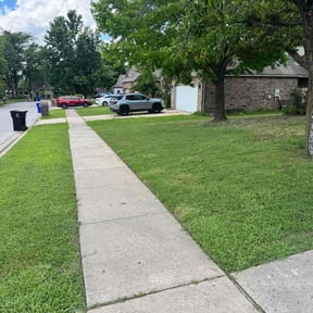 Bush Trimming by Grass Assassins Lawn & Landscape reviewed on June 8, 2022