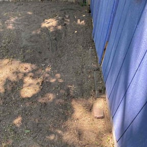 Leaf Removal by Dinos Lawn Service reviewed on June 13, 2022