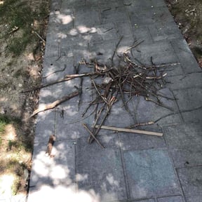 Cleanups by Demiteria Casey Mattox reviewed on June 10, 2022