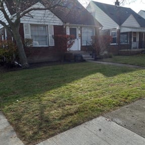 Leaf Removal by Cascadia Landscaping reviewed on April 7, 2022