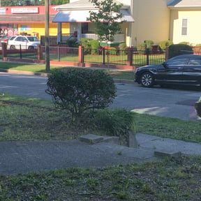 Bush Trimming by Household Maintenance & Lawn Care Services reviewed on December 14, 2024