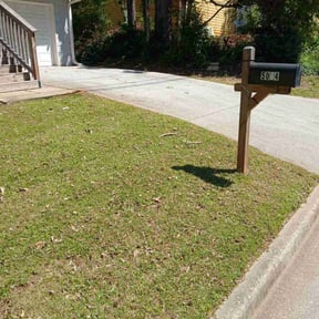 Bush Trimming by LSLTDallas/FortWorthTruGreen reviewed on June 17, 2025