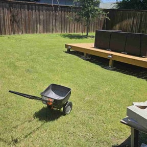 Weeding by LSLTAustin/SanAntonioEmerald reviewed on June 23, 2025