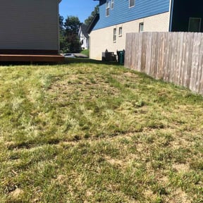 Cleanups by Integrity Lawn Care reviewed on January 5, 2022