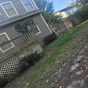 Bush Trimming by Herrera Lawn Maintenance reviewed on March 24, 2022