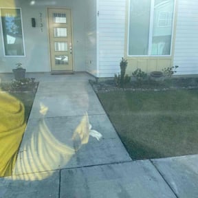 Flower Bed Weeding by GRASS EFX LAWN CARE reviewed on July 13, 2025