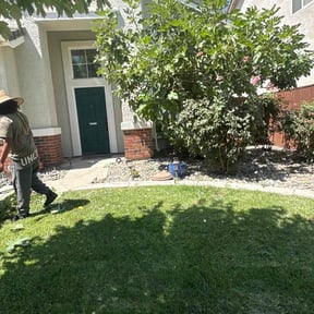 Bush Trimming by Forever Green FG LLC reviewed on August 13, 2024