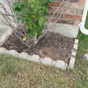 Flower Bed Weeding by LSLTAustin/SanAntonioEmerald reviewed on May 2, 2025