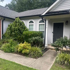 Bush Trimming by Norman Boys Lawn Care reviewed on June 10, 2022