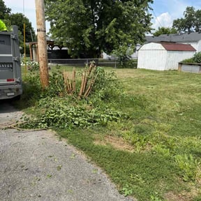 Bush Trimming by Contreras Outdoors reviewed on August 14, 2024