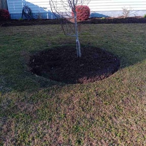 Mulching by Babcock Enterprises LLC reviewed on August 2, 2022