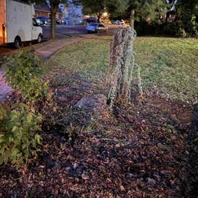 Cleanups by Kimroy Lawn Service reviewed on September 20, 2020