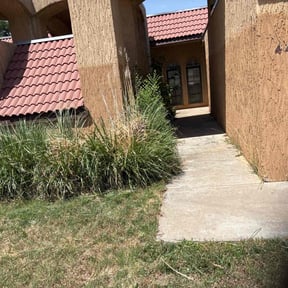 Bush Trimming by Ace lawn care reviewed on April 3, 2025