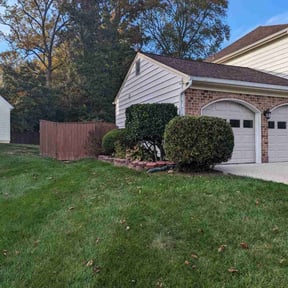 Bush Trimming by NRB Landscape Services reviewed on May 19, 2022
