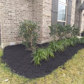 Bush Trimming by Central TX Services reviewed on July 19, 2022