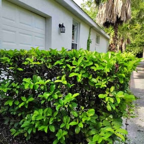 Bush Trimming by Willie Lawn Care and More LLC reviewed on April 18, 2025