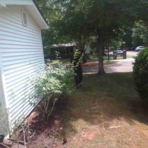 Bush Trimming by McNeil's lawn care &amp; maintenance reviewed on August 17, 2024