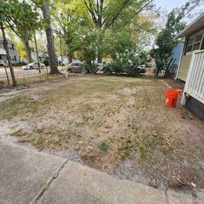 Leaf Removal by TruGreen LawnCare reviewed on February 11, 2025