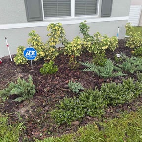Flower Bed Weeding by Let Jonny Do It Services reviewed on June 10, 2022