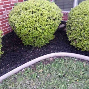 Flower Bed Weeding by JTRS Landscaping, LLC reviewed on June 27, 2021