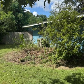 Bush Trimming by Brent's Lawn Maintenance reviewed on August 27, 2021