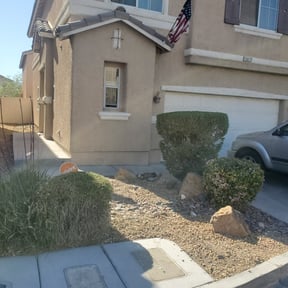 Bush Trimming by MNS Services reviewed on November 15, 2024