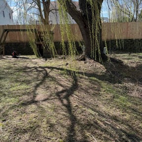 Leaf Removal by A-1 Affordable Lawn Care reviewed on April 29, 2022