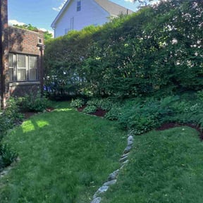 Mulching by Tried & True Landscape reviewed on July 21, 2022